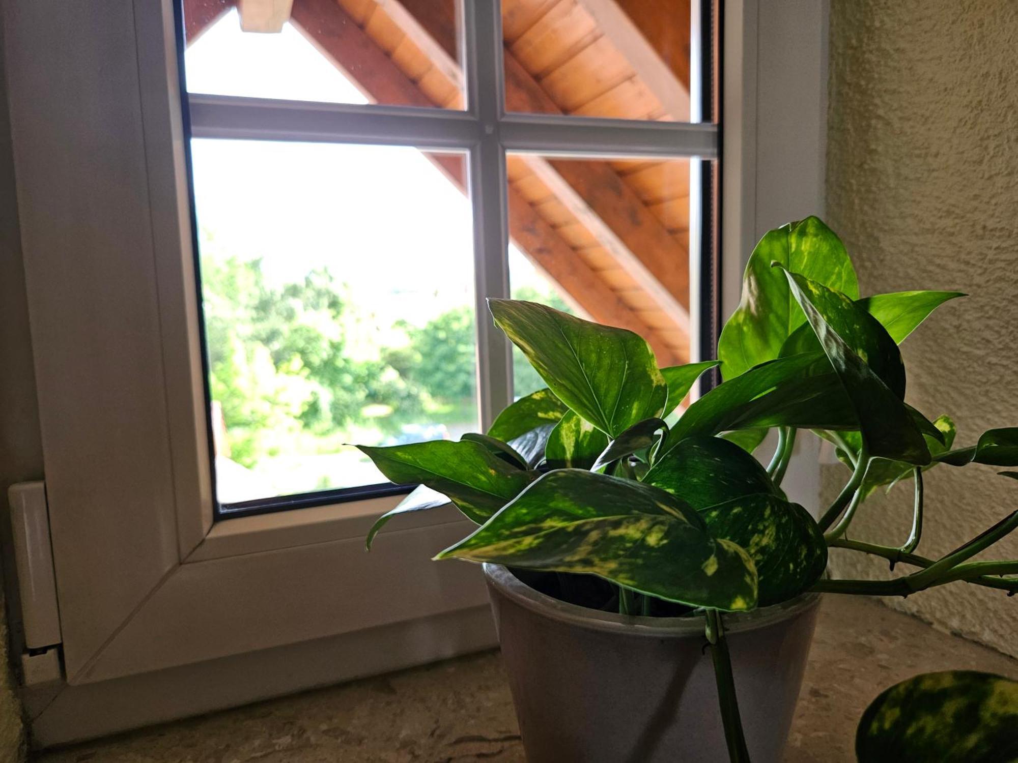 Service Appartement Weigl Nittenau Kültér fotó
